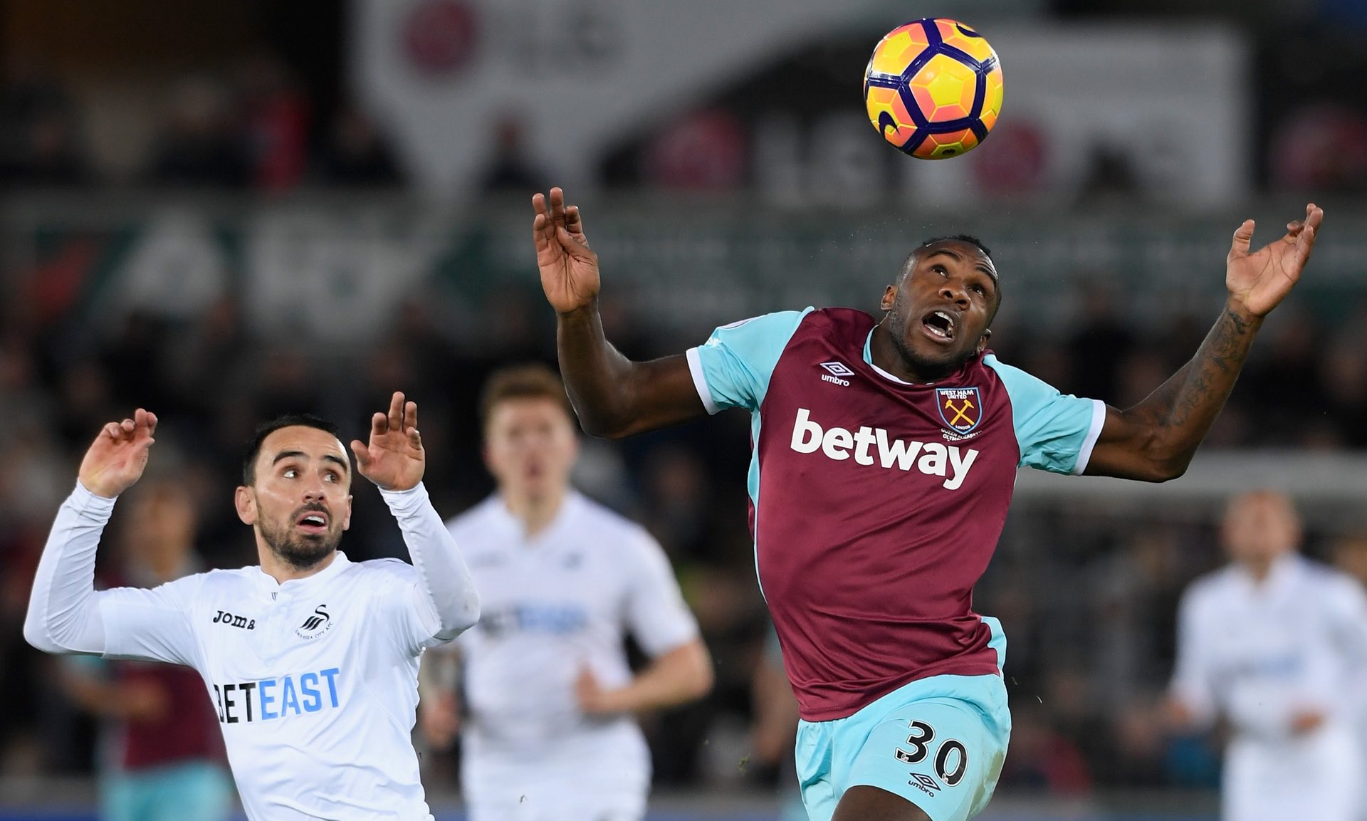 都为全世界 都为全世界