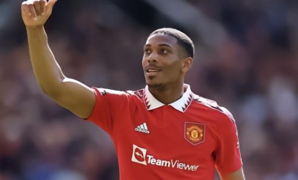 这是一个展 这是一个展